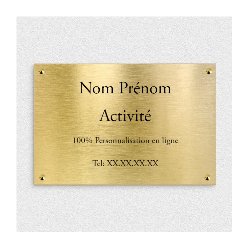 Plaque professionnelle 100% à personnaliser - 30 x 20 cm - Plastique effet laiton brossé